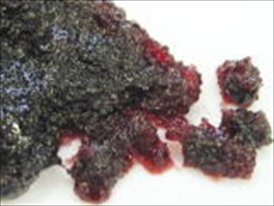 タカ フォルテ ブルーベリー　１Ｋg×６