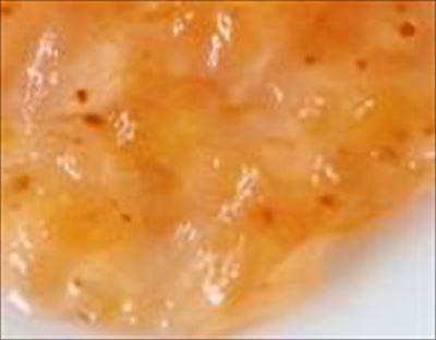 タカ フォルテ いちじく　１Ｋg×６