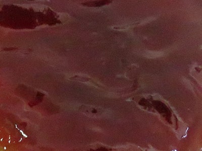 タカ ＣＳカラメルゼリーフィリング　１Ｋg×６