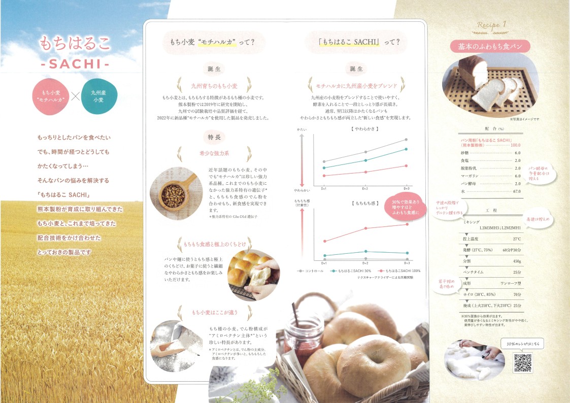 熊本製粉 もちはるこ-SACHI-　２５Ｋg